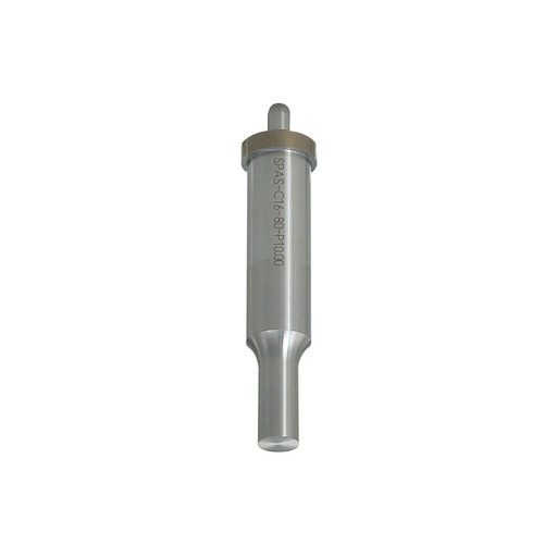 DSPAL-C-10-85